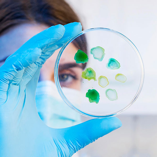 Laboratory Services